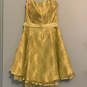 Jessica Mc Clintock Dress